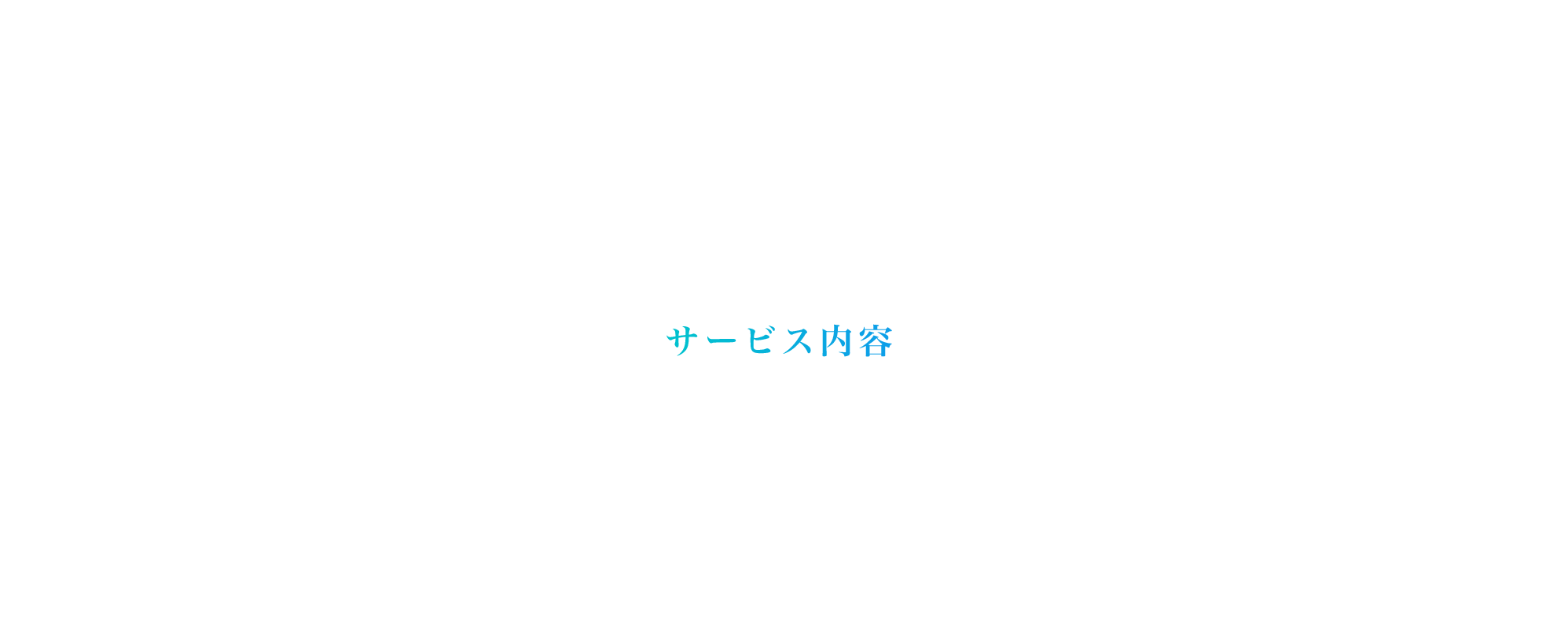 サービス内容